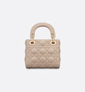 Mini Dioriviera Lady Dior Bag