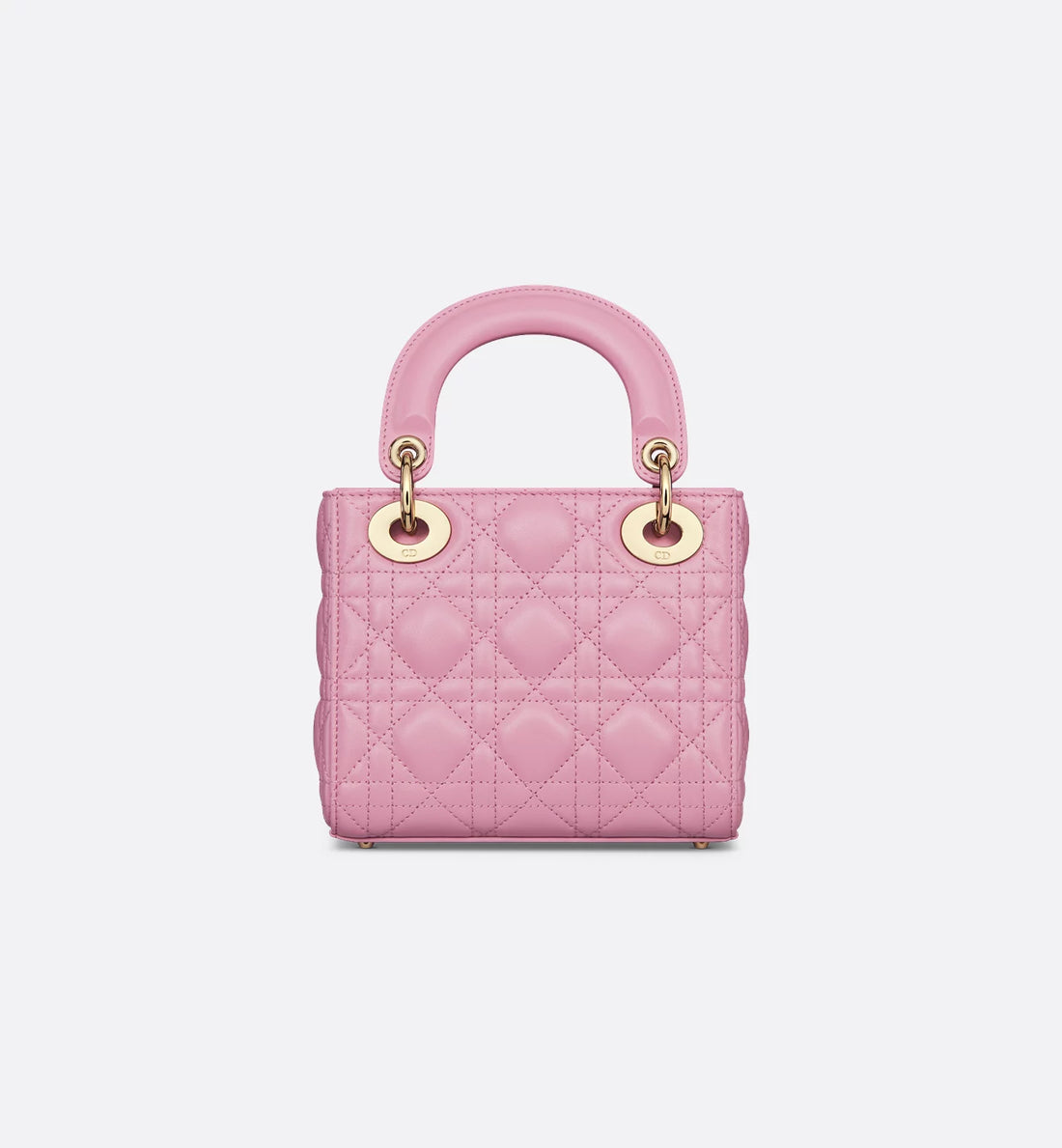 Mini Dioriviera Lady Dior Bag