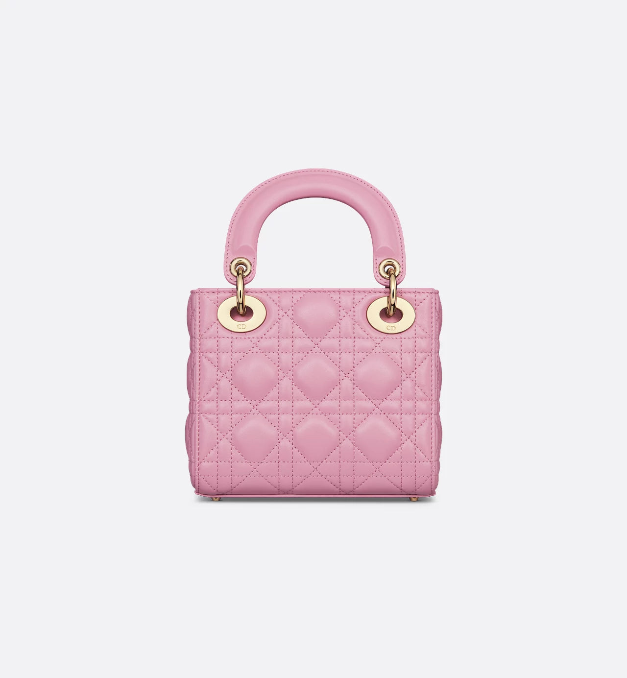 Mini Dioriviera Lady Dior Bag