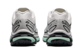 Salomon XT-6 