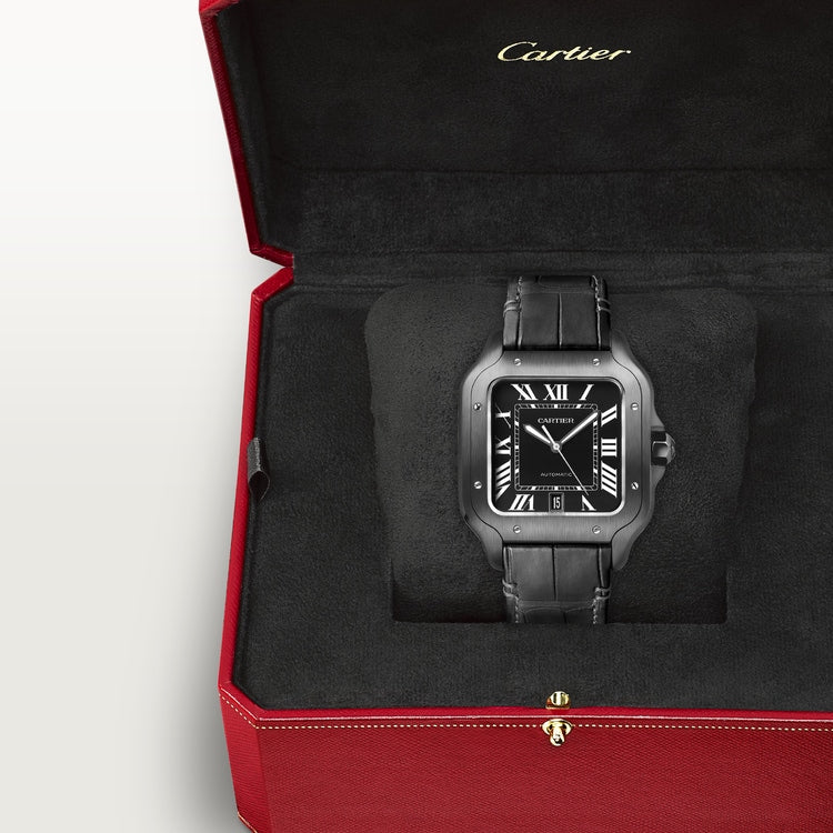 SANTOS DE CARTIER WATCH WSSA0039