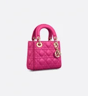 Mini Dioriviera Lady Dior Bag
