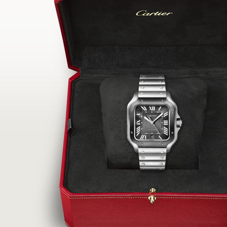 SANTOS DE CARTIER WATCH WSSA0037
