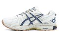 Asics Gel Kahana 8 Gore-Tex 