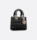 Small Lady Dior My ABCDior Bag
