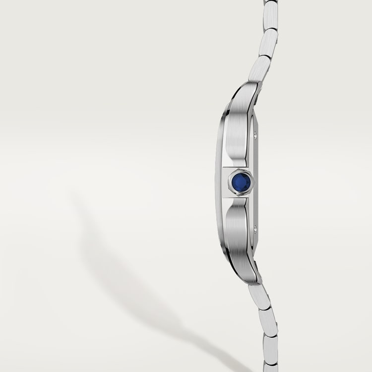 SANTOS DE CARTIER WATCH WSSA0029