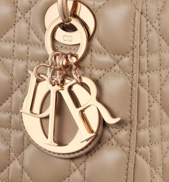 Small Lady Dior My ABCDior Bag