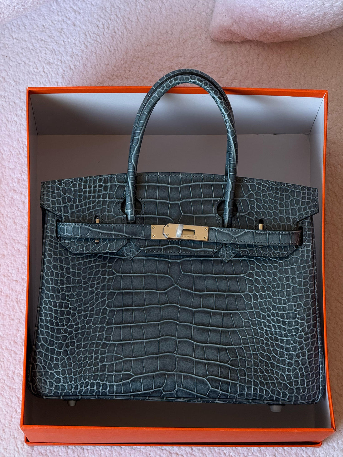 Hermes Birkin croc