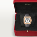 SANTOS DE CARTIER WATCH WGSA0019