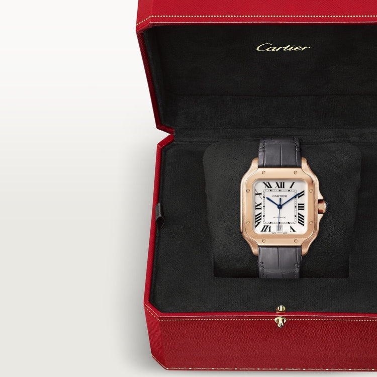 SANTOS DE CARTIER WATCH WGSA0019