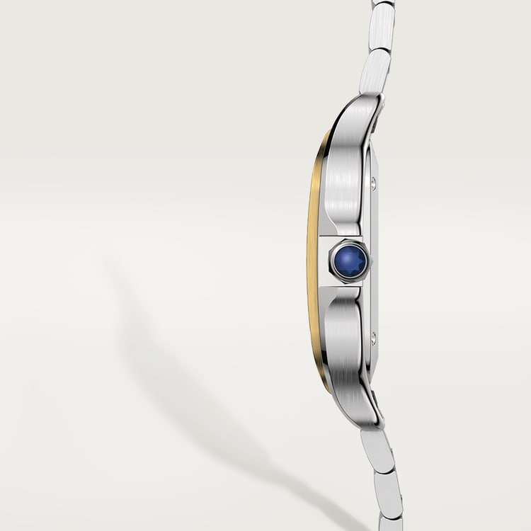 SANTOS DE CARTIER WATCH W2SA0016
