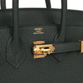 Hermès Birkin 25 Vert Fonce Togo Gold Hardware