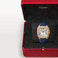 SANTOS DE CARTIER WATCH WGSA0018