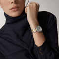 36 mm, movimiento mecánico de carga automática, oro amarillo, acero