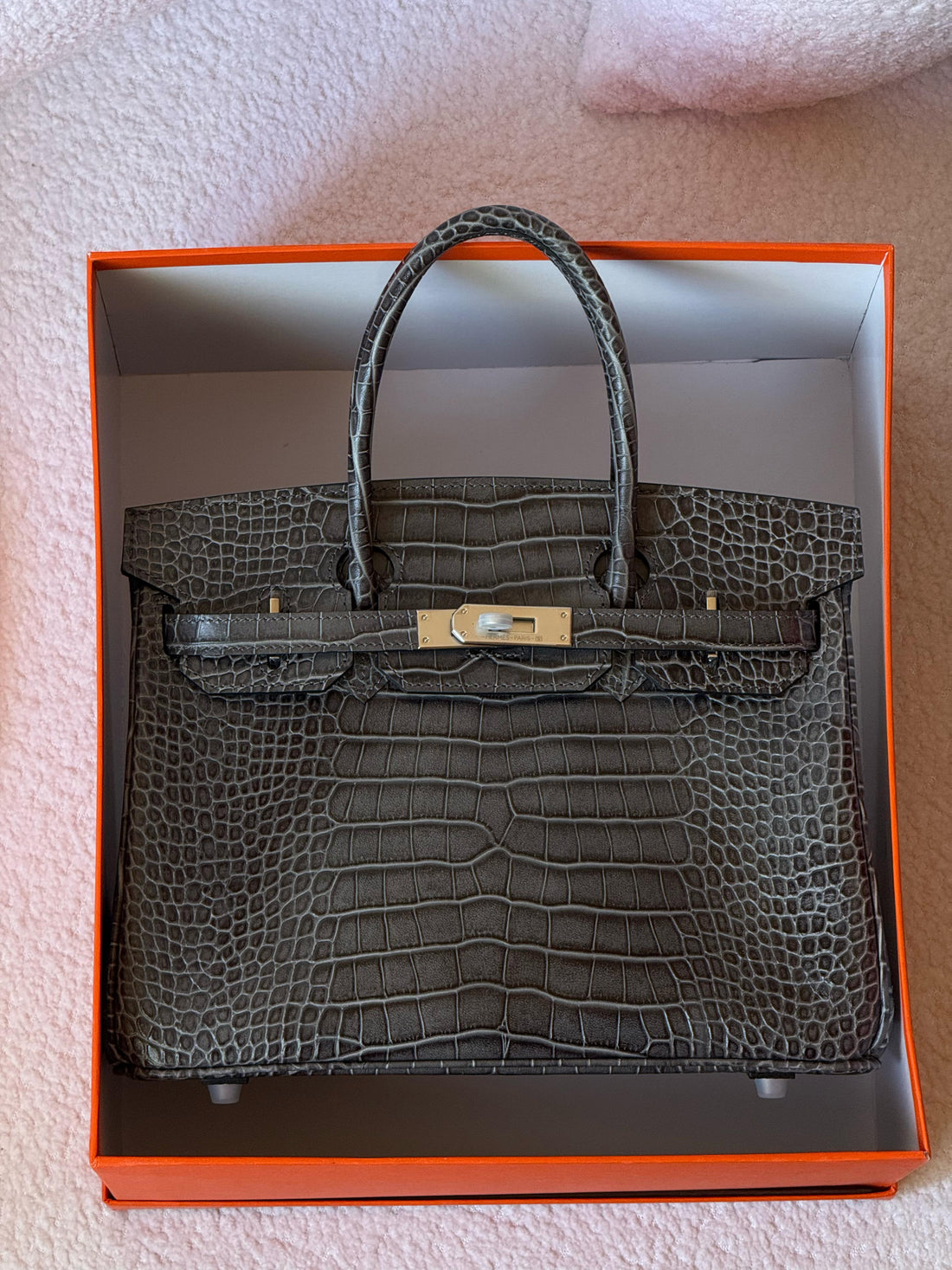 Hermes Birkin croc