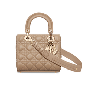 Small Lady Dior My ABCDior Bag
