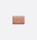 Dior Caro Glycine Wallet