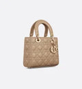 Small Lady Dior My ABCDior Bag