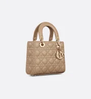 Small Lady Dior My ABCDior Bag