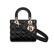 Small Lady Dior My ABCDior Bag