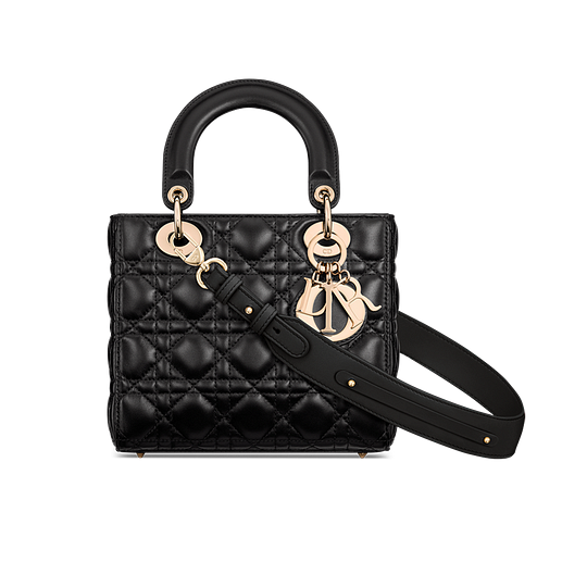 Small Lady Dior My ABCDior Bag