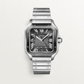 SANTOS DE CARTIER WATCH WSSA0037