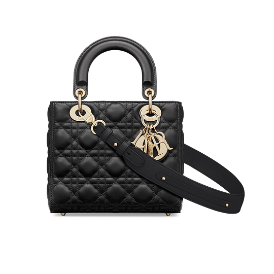 Small Lady Dior My ABCDior Bag