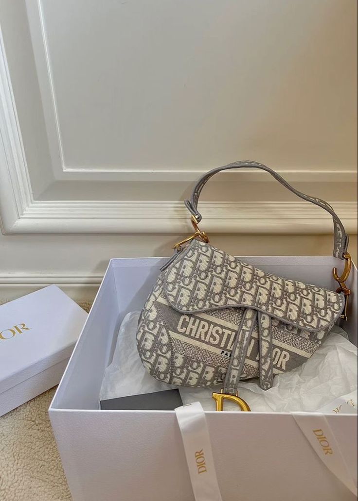 Dior Saddle Bag