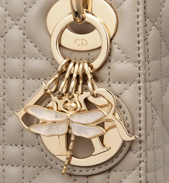 Mini Lady Dior Bag