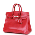 Hermès Birkin 25 Rose Extreme Lizard Palladium Hardware