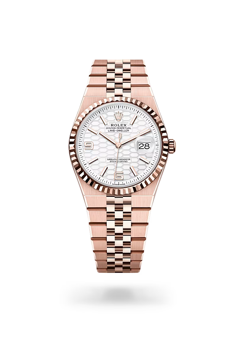 Elegant Rolex Land Dweller 36mm Everose Gold Oyster Watch