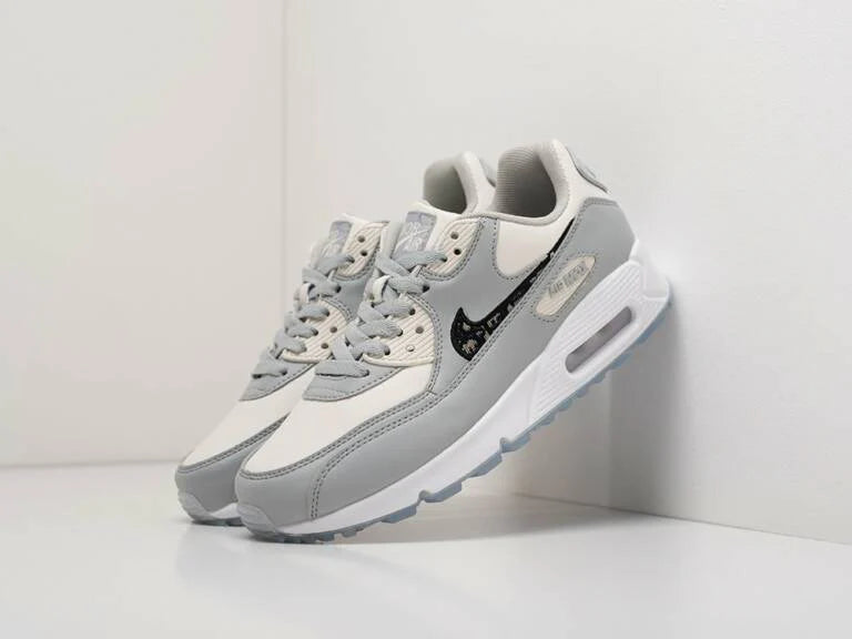 Nike Air Max 90 x Dior